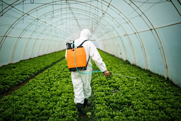 Best Residential Pest Control  in Pilot Rock, OR