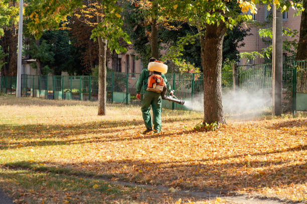 Flea Control Services in Pilot Rock, OR