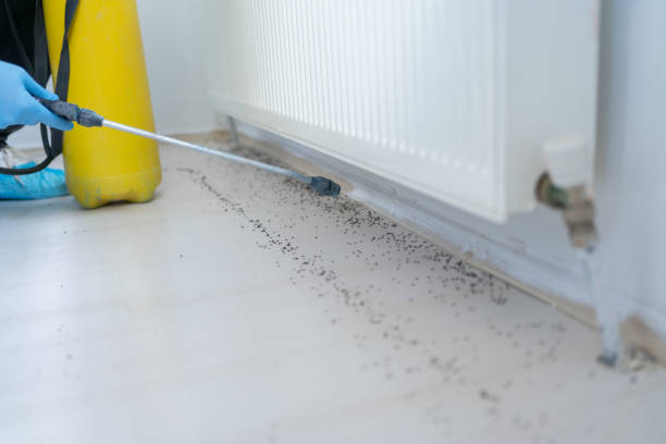 Best Best Pest Control Companies  in Pilot Rock, OR